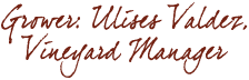 Grower: Ulises Valdez, Vineyard Manager